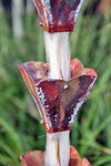 Petal Top Cup S