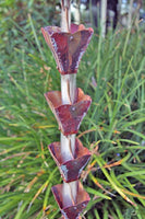 Petal Top Cup S