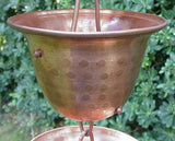 Spotted Bell Cup-Copper